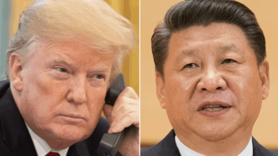 Trump: Xi Jinping avalia comprar mais soja e energia dos EUA