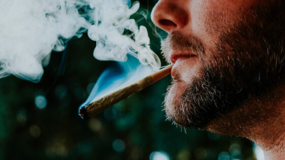 Escócia: doenças mentais por canabinoides disparam